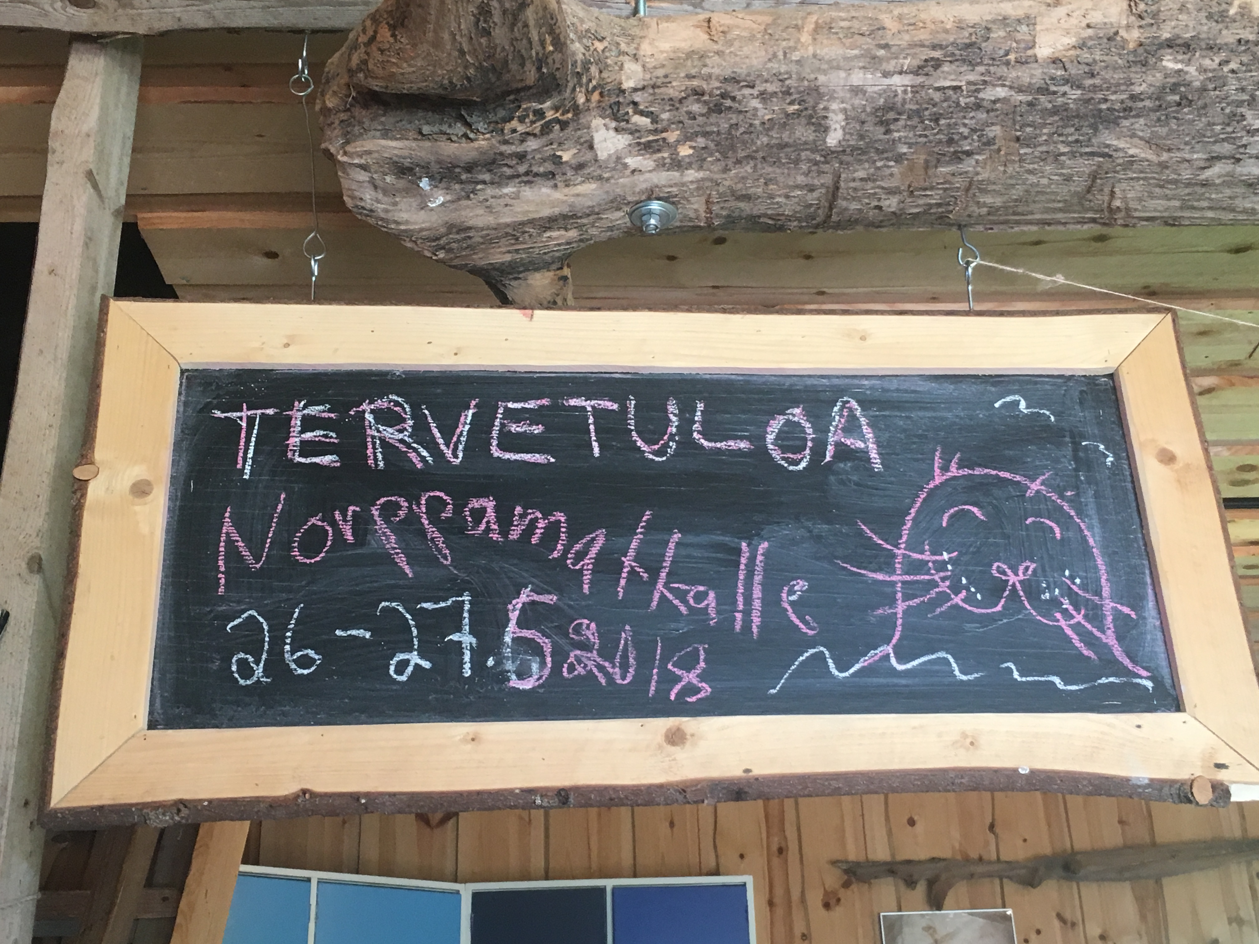 Norppien jäljillä